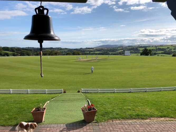 Batting Blitz Humbles Home Side in Dalkey Triumph